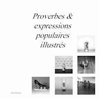 Proverbes & expressions populaires illustrés - David Kujas - E-Book