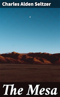 The Mesa - Charles Alden Seltzer - E-Book