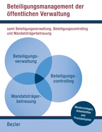 Beteiligungsmanagement der öffentlichen Verwaltung - Alfred Bezler - E-Book