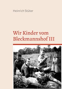 Wir Kinder vom Bleckmannshof III - Heinrich Stüter - E-Book