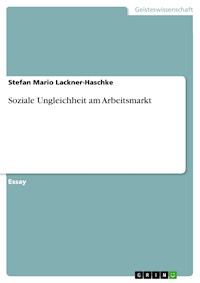 Soziale Ungleichheit am Arbeitsmarkt - Stefan Mario Lackner-Haschke - E-Book