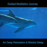 Guided Meditation Journey - Dolphins - Beach - Sea - BMP-Music - Hörbuch