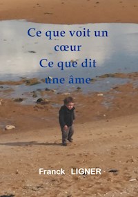 Ce que voit un coeur Ce que dit une âme - franck Ligner - E-Book