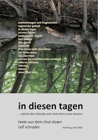 in diesen tagen... wächst das rettende auch nicht ohne unser dazutun - Ralf Schrader - E-Book