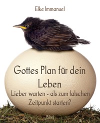 Gottes Plan für dein Leben - Elke Immanuel - E-Book