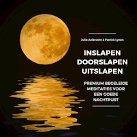 INSLAPEN, DOORSLAPEN, UITSLAPEN - Julie Aelbrecht - Hörbuch