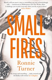 Small Fires - Ronnie Turner - E-Book
