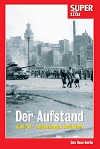 Der Aufstand - Hannes Hofmann - E-Book