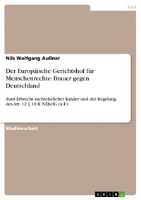 Der Europäische Gerichtshof für Menschenrechte: Brauer gegen Deutschland - Nils Wolfgang Außner - E-Book