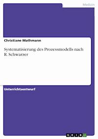 Systematisierung des Prozessmodells nach R. Schwarzer - Christiane Mathmann - E-Book