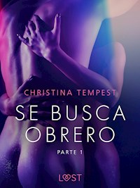 Se busca obrero - parte 1 - Christina Tempest - E-Book