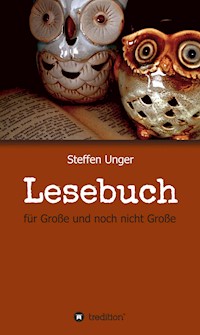 Lesebuch - Steffen Unger - E-Book