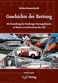 Geschichte der Rettung - Bettina Braunschmidt - E-Book