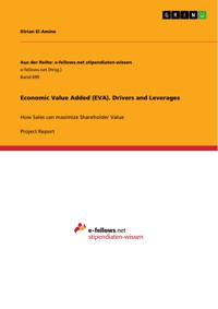 Economic Value Added (EVA). Drivers and Leverages - Dirian El Amine - E-Book