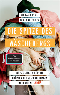 Die Spitze des Wäschebergs - Richard Pink - E-Book