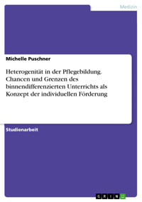 Heterogenität in der Pflegebildung. Chancen und Grenzen des binnendifferenzierten Unterrichts als Konzept der individuellen Förderung - Michelle Puschner - E-Book