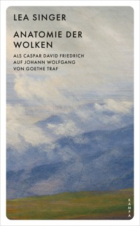 Anatomie der Wolken - Lea Singer - E-Book