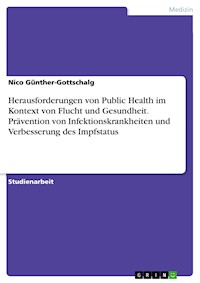 Herausforderungen von Public Health im Kontext von Flucht und Gesundheit. Prävention von Infektionskrankheiten und Verbesserung des Impfstatus - Nico Günther-Gottschalg - E-Book