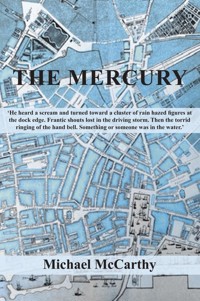 The Mercury - Michael McCarthy - E-Book