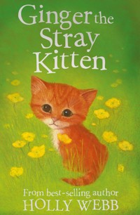 Ginger the Stray Kitten - Holly Webb - E-Book