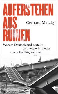 Auferstehen aus Ruinen - Gerhard Matzig - E-Book
