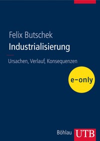 Industrialisierung - Felix Butschek - E-Book