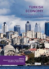 Turkish Economy -  - E-Book