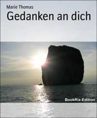 Gedanken an dich - Marie Thomas - E-Book