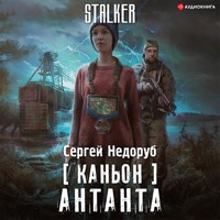 Каньон. Антанта - Сергей Недоруб - Hörbuch