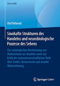 Sinnhafte Strukturen des Handelns und neurobiologische Prozesse des Sehens - Olaf Behrend - E-Book