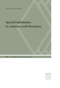 Special Indefinites in Sentence and Discourse - Sofiana Lindemann - E-Book