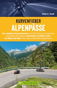 Kurvenfieber Alpenpässe: Motorradreiseführer für die Alpen - Heinz E. Studt - E-Book