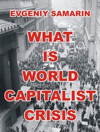 What Is World Capitalist Crisis - Evgeniy Samarin - E-Book