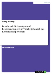 Bestehende Belastungen und Beanspruchungen im Tätigkeitsbereich des Rettungsfachpersonals - Joerg Vieweg - E-Book