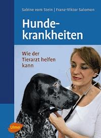 Hundekrankheiten - Sabine vom Stein - E-Book