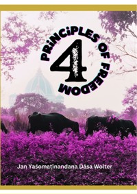4 Principles of Freedom - Jan Wolter - E-Book