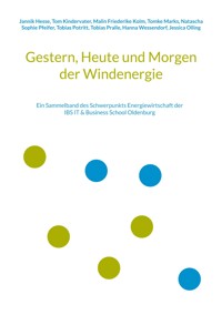 Gestern, Heute und Morgen der Windenergie - Jannik Hesse - E-Book