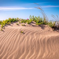 Дорога в дюнах - Кирилл Куталов - Hörbuch