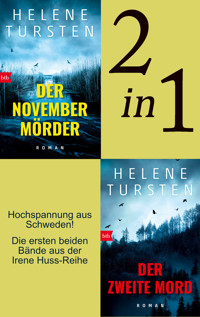 Der Novembermörder / Der zweite Mord (2in1 Bundle) - Helene Tursten - E-Book