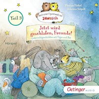 Jetzt wird geschlafen, Freunde! Gutenachtgeschichten mit Tiger und Bär. Teil 3 - Florian Fickel - Hörbuch