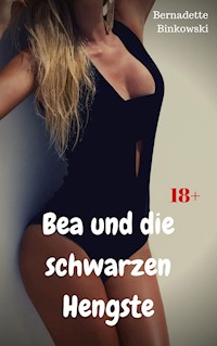 Bea und die schwarzen Hengste - Bernadette Binkowski - E-Book