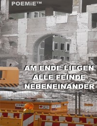 Am Ende liegen alle Feinde nebeneinander - Tom De Toys - E-Book