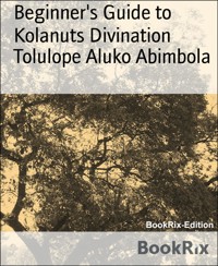 Beginner's Guide to Kolanuts Divination - Tolulope Aluko Abimbola - E-Book