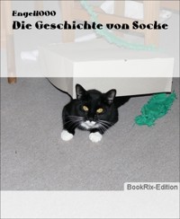 Die Geschichte von Socke - Engel1000 - E-Book