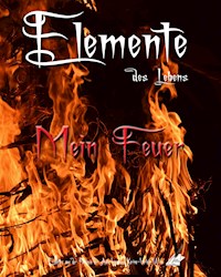 Elemente des Lebens - Karina Moebius - E-Book