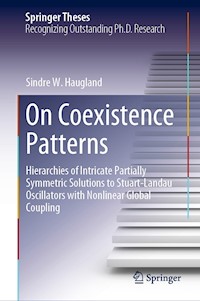 On Coexistence Patterns - Sindre W. Haugland - E-Book