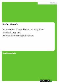 Nanotubes. Unter Einbeziehung ihrer Entdeckung und Anwendungsmöglichkeiten - Stefan Kämpfer - E-Book