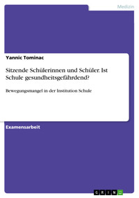 Sitzende Schülerinnen und Schüler. Ist Schule gesundheitsgefährdend? - Yannic Tominac - E-Book