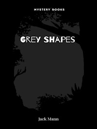 Grey Shapes - Jack Mann - E-Book