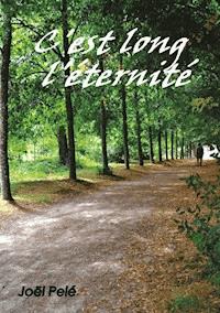 C'est long l'éternité - Joël Pelé - E-Book